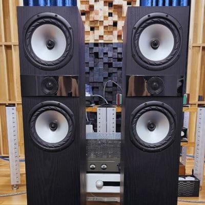 Fyne F303 Speakers